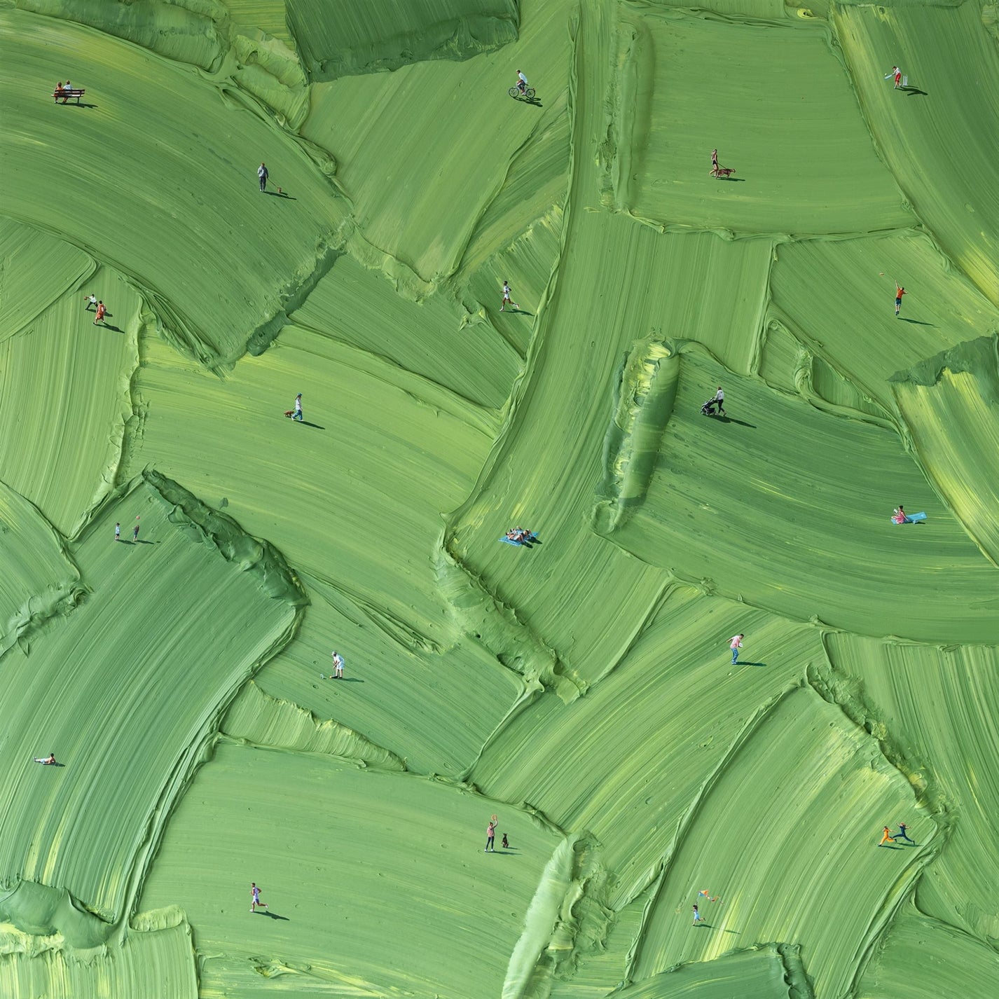 Forbidden Grass Werner Bronkhorst forbidden-grass-werner-bronkhorst